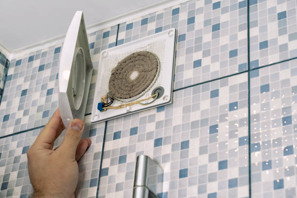 Best Ductwork Cleaning Services  in Cedar Grove, FL