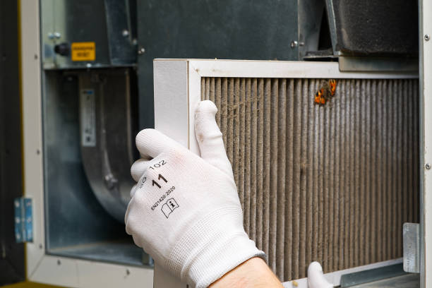 Best Air Duct Mold Removal  in Cedar Grove, FL