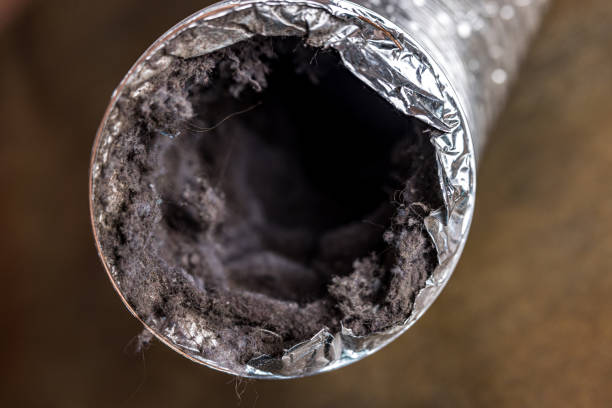 Best Dryer Vent Cleaning Services  in Cedar Grove, FL
