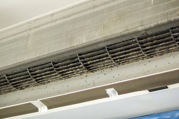Best Commercial Air Duct Cleaning  in Cedar Grove, FL