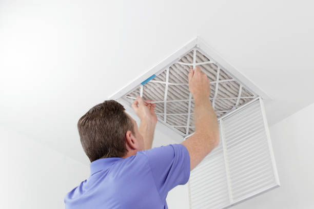 Best Professional Duct Cleaning Services  in Cedar Grove, FL